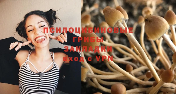 амфетамин Алексин
