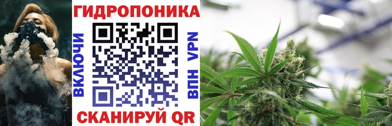 Канабис гибрид Партизанск